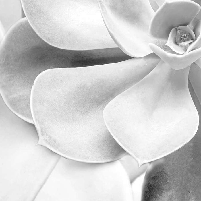 Komar NEU | Digitaldruck Vlies Fototapete - Shades Black and White - Größe 400 x 250 cm