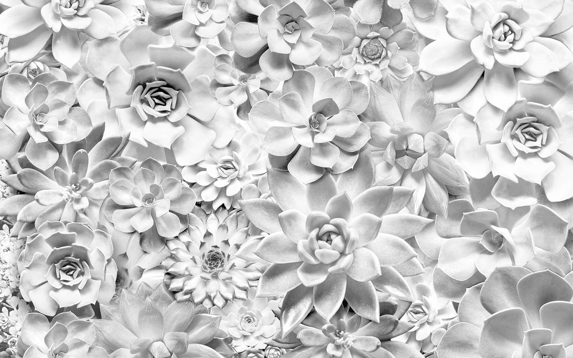 Digitaldruck Vlies Fototapete | Shades Black and White | 400 x 250 cm