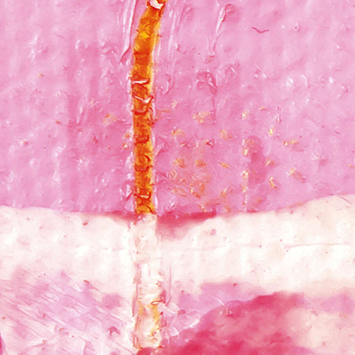 Digitaldruck Vlies Fototapete | Cells Wrapping | 500 x 280 cm