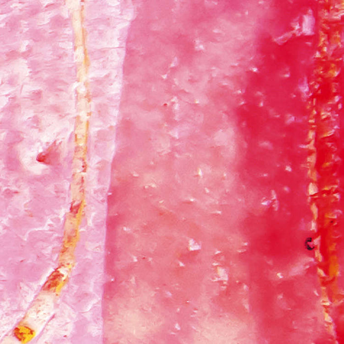 Digitaldruck Vlies Fototapete | Cells Wrapping | 500 x 280 cm