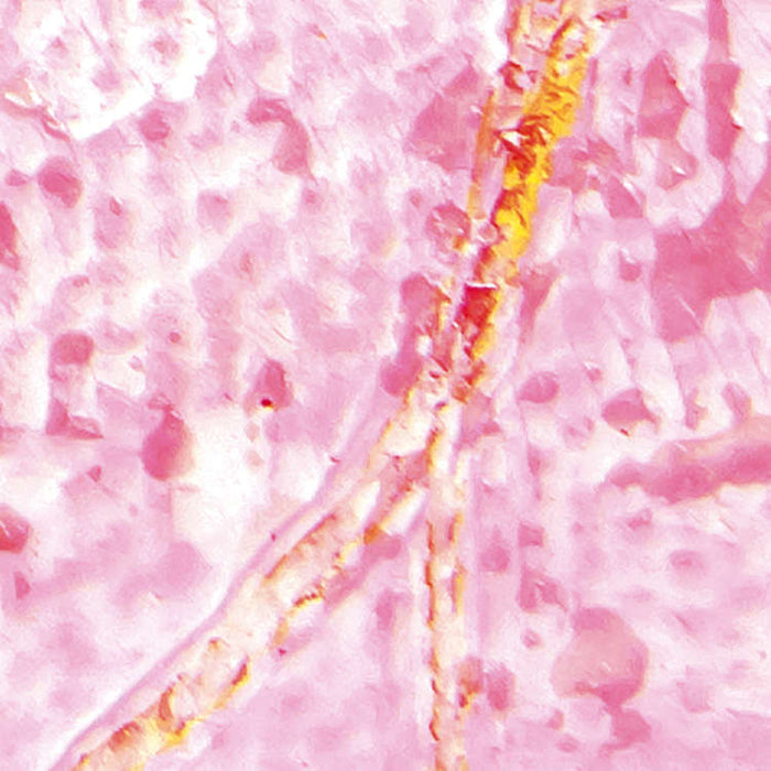 Digitaldruck Vlies Fototapete | Cells Wrapping | 500 x 280 cm