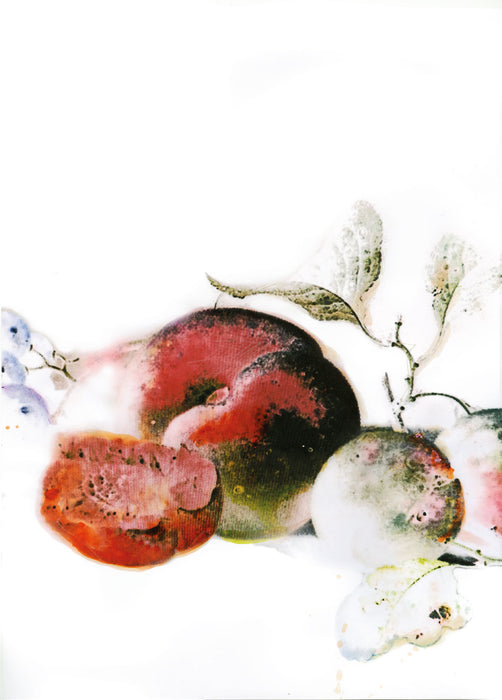 Komar NEU | Wandbild - Dessert Fruité