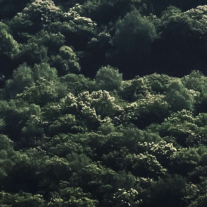 Komar NEU | Digitaldruck Vlies Fototapete - The Summit - Größe 300 x 250 cm