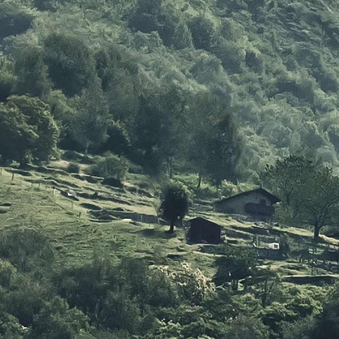 Komar NEU | Digitaldruck Vlies Fototapete - The Summit - Größe 300 x 250 cm