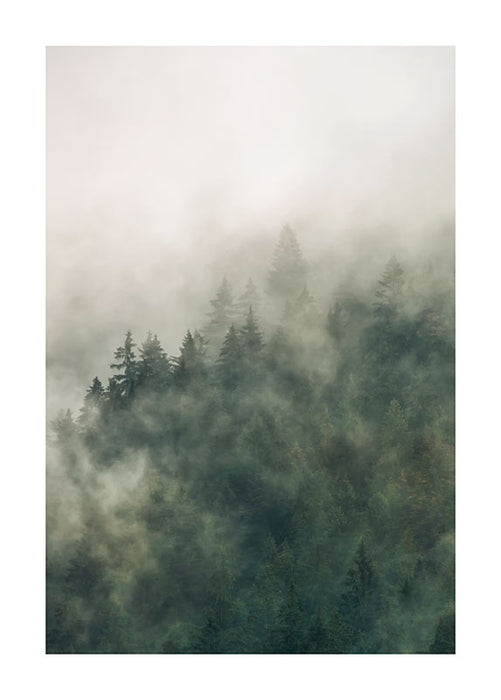 Wandbild - Tales of the Carpathians