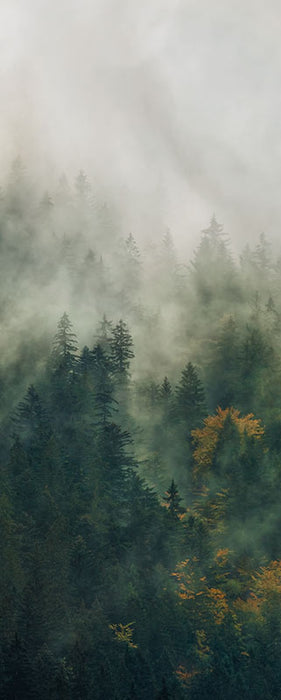 Digitaldruck Vlies Fototapete | Tales of the Carpathians Panel | 100 x 250 cm