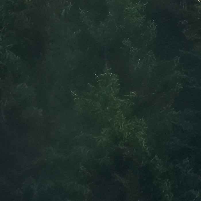 Komar NEU | Digitaldruck Vlies Fototapete - Tales of the Carpthians - Größe 300 x 250 cm