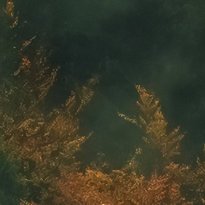 Komar NEU | Digitaldruck Vlies Fototapete - Tales of the Carpthians - Größe 300 x 250 cm