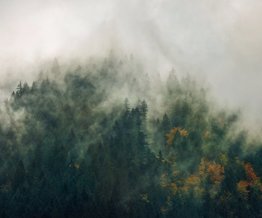 Komar NEU | Digitaldruck Vlies Fototapete - Tales of the Carpthians - Größe 300 x 250 cm