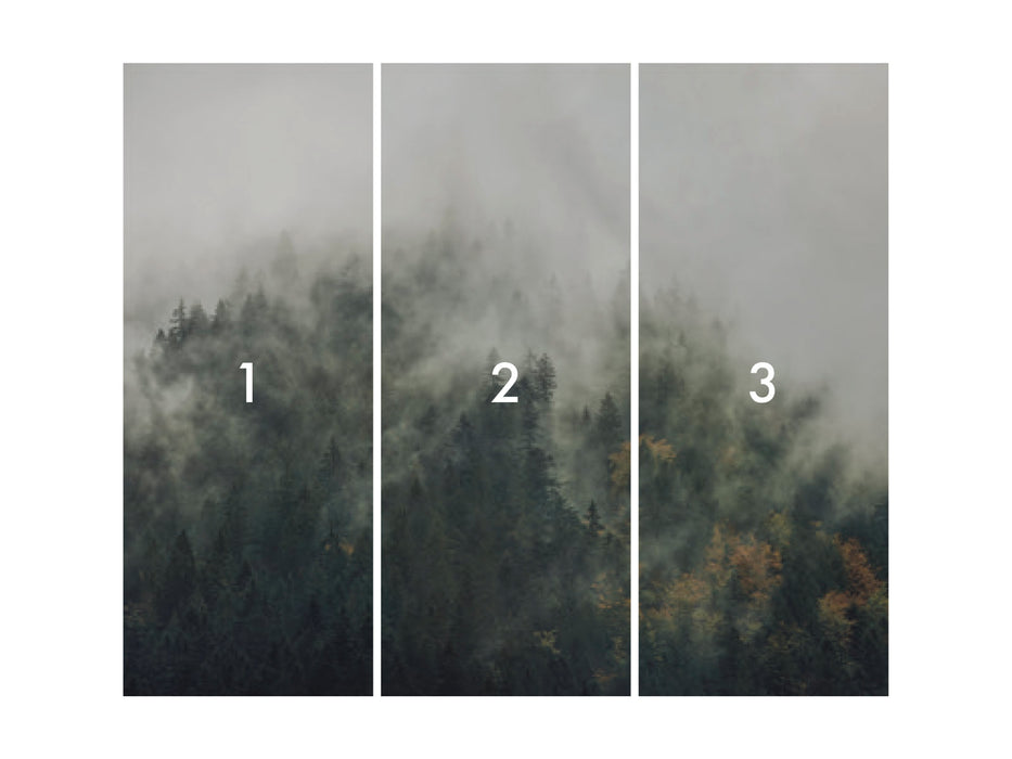 Komar NEU | Digitaldruck Vlies Fototapete - Tales of the Carpthians - Größe 300 x 250 cm