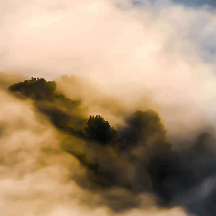 Komar NEU | Digitaldruck Vlies Fototapete - Soul of Light - Größe 400 x 250 cm