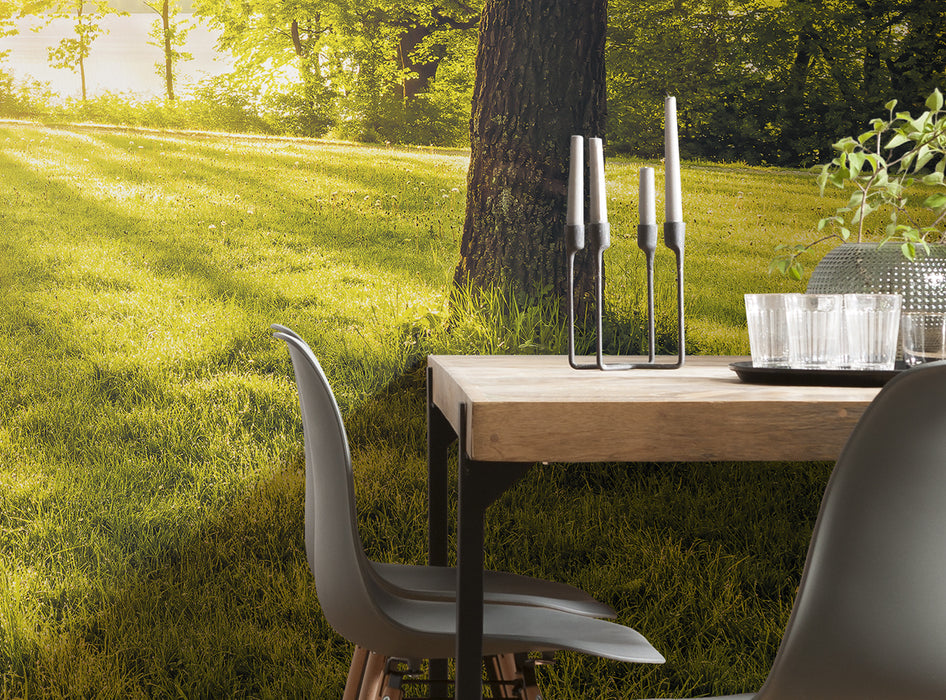 Komar NEU | Digitaldruck Vlies Fototapete - Golden Moment - Größe 400 x 250 cm