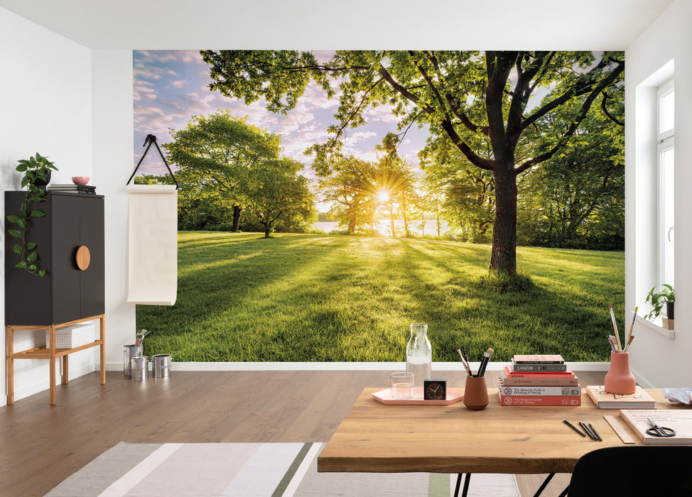Komar NEU | Digitaldruck Vlies Fototapete - Golden Moment - Größe 400 x 250 cm