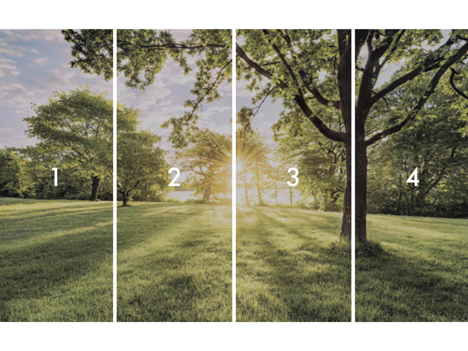 Digitaldruck Vlies Fototapete | Golden Moment | 400 x 250 cm