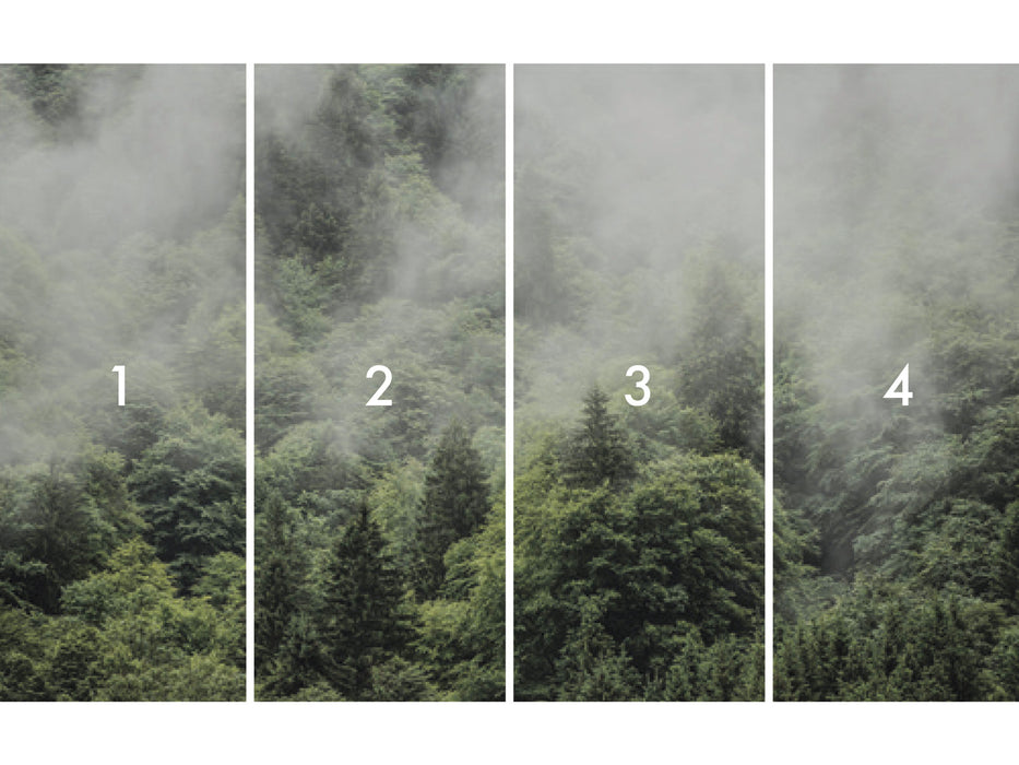 Digitaldruck Vlies Fototapete | Forest Land | 400 x 250 cm