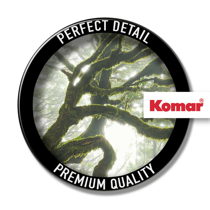 Komar NEU | Digitaldruck Vlies Fototapete - The Forgotten Forest - Größe 400 x 250 cm