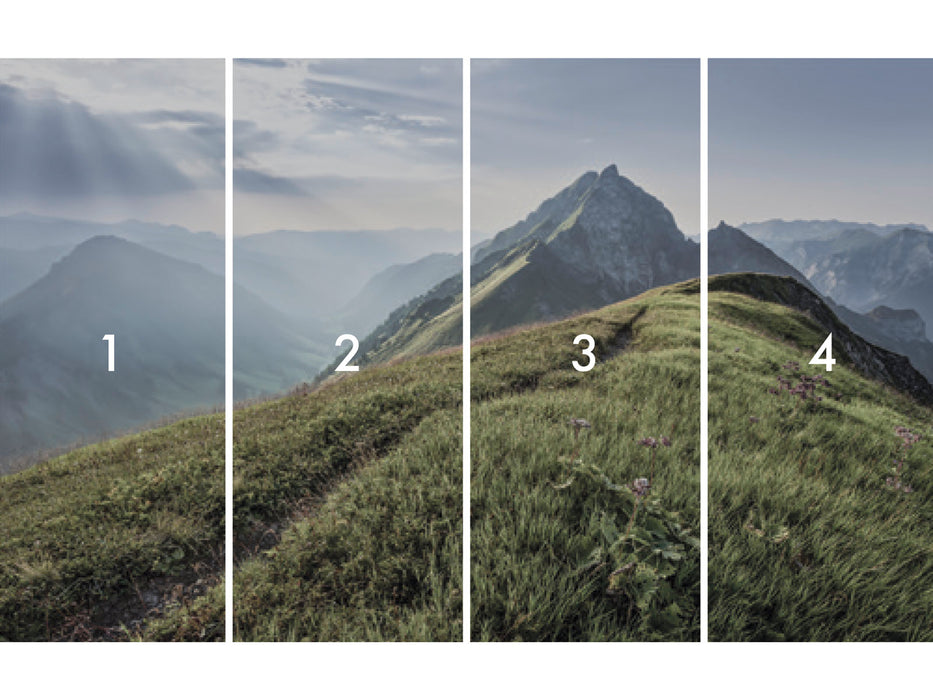 Komar NEU | Digitaldruck Vlies Fototapete - Green Vein - Größe 400 x 250 cm