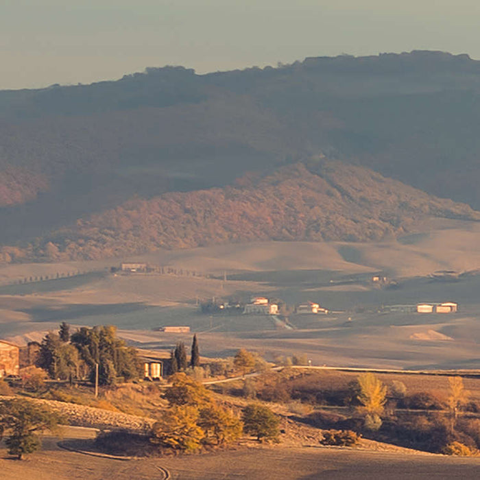 Komar NEU | Digitaldruck Vlies Fototapete - Toskanagold - Größe 400 x 250 cm