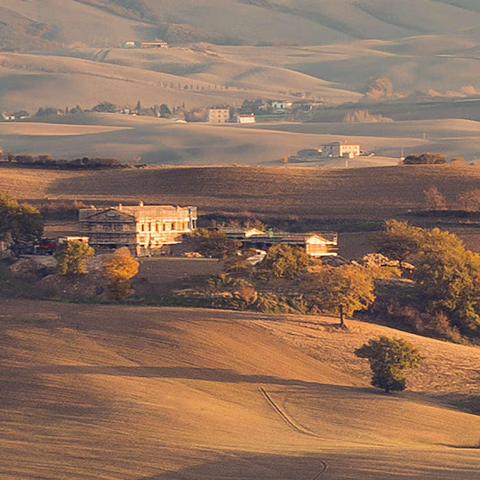 Komar NEU | Digitaldruck Vlies Fototapete - Toskanagold - Größe 400 x 250 cm