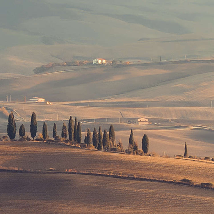 Komar NEU | Digitaldruck Vlies Fototapete - Toskanagold - Größe 400 x 250 cm