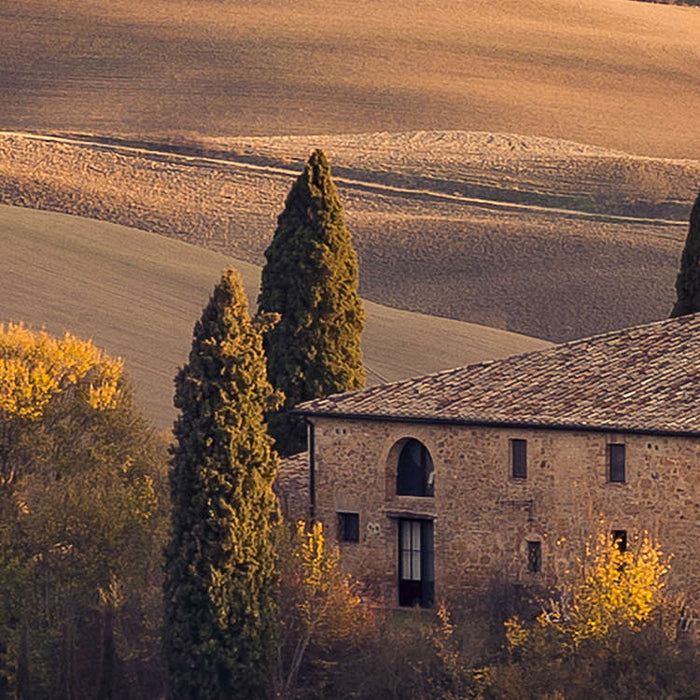 Komar NEU | Digitaldruck Vlies Fototapete - Toskanagold - Größe 400 x 250 cm