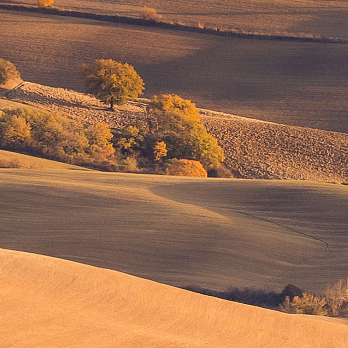Komar NEU | Digitaldruck Vlies Fototapete - Toskanagold - Größe 400 x 250 cm