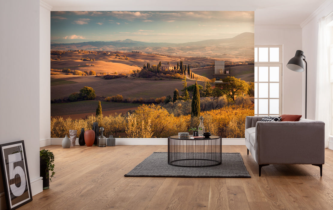Komar NEU | Digitaldruck Vlies Fototapete - Toskanagold - Größe 400 x 250 cm