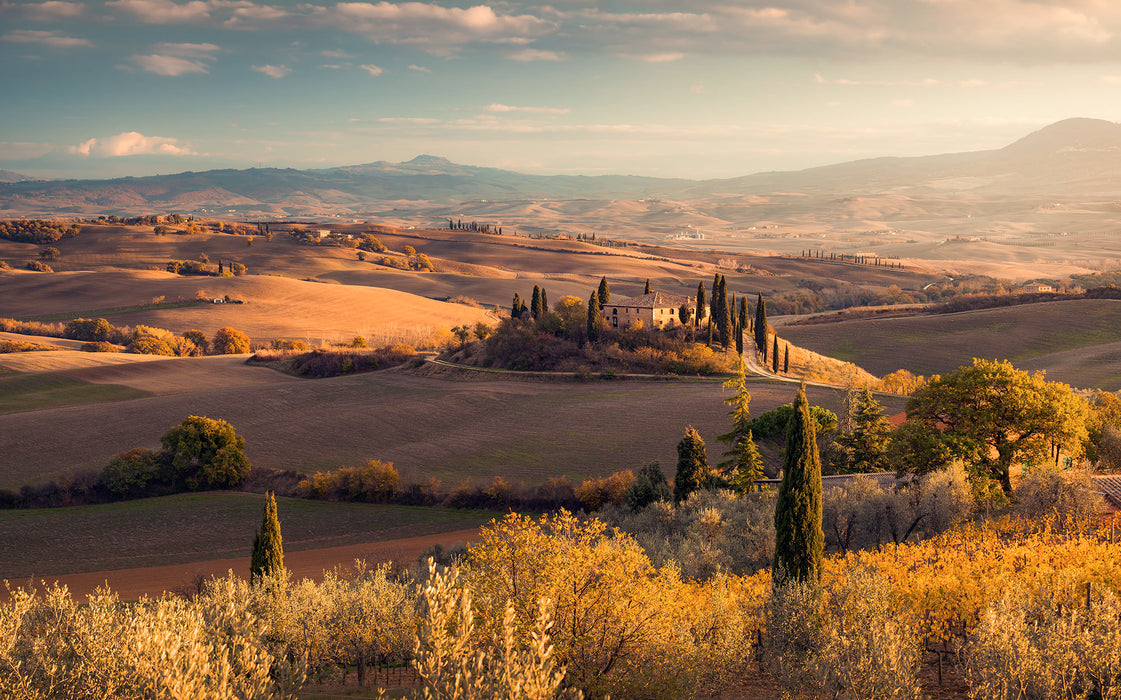 Komar NEU | Digitaldruck Vlies Fototapete - Toskanagold - Größe 400 x 250 cm