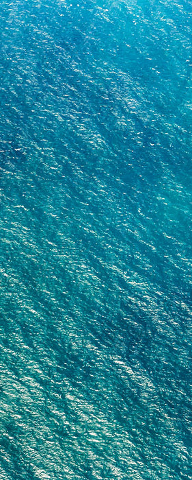 Komar NEU | Digitaldruck Vlies Fototapete - Blaupause Panel - Größe 100 x 250 cm