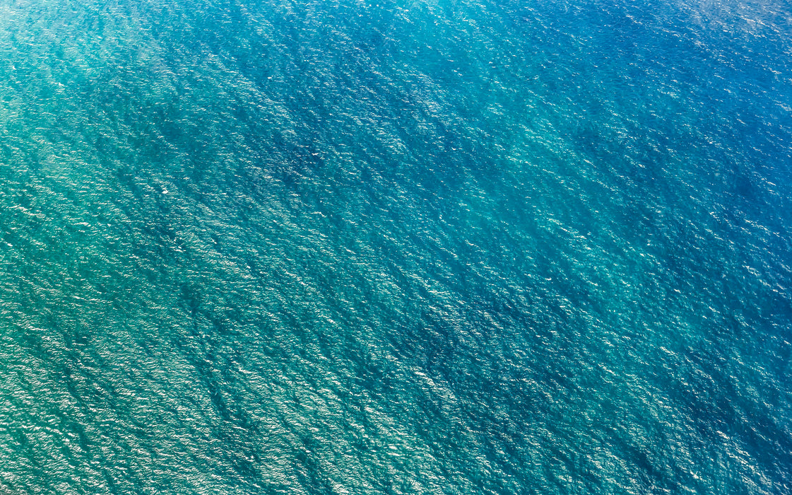 Komar NEU | Digitaldruck Vlies Fototapete - Blaupause - Größe 400 x 250 cm