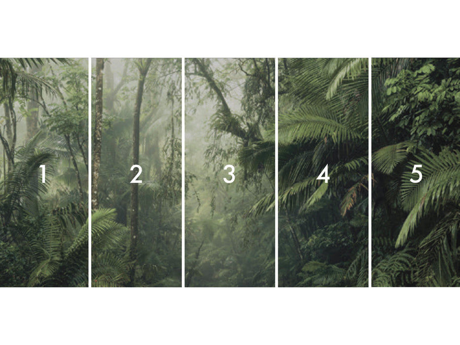 Komar NEU | Digitaldruck Vlies Fototapete - Tropenwelten - Größe 500 x 250 cm