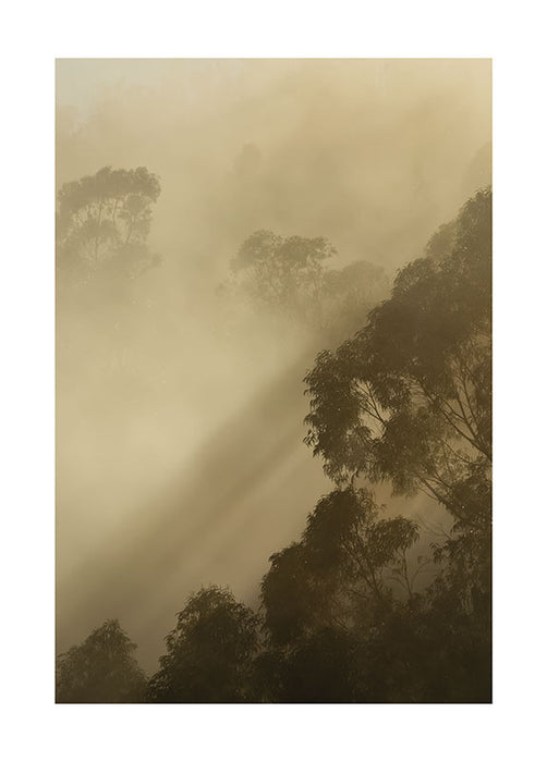 Wandbild - Golden Light