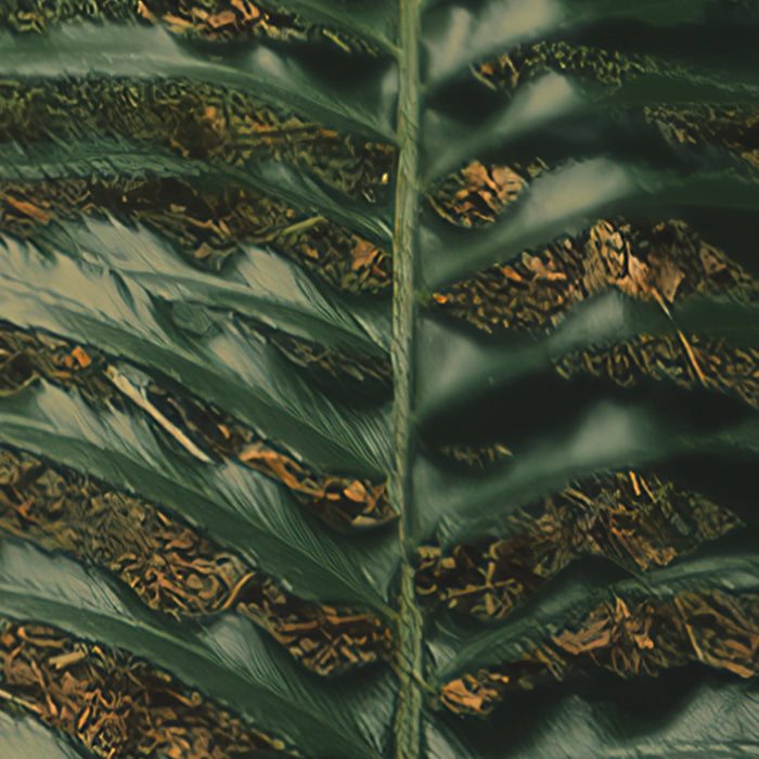 Digitaldruck Vlies Fototapete | Hall of Mosses | 400 x 250 cm