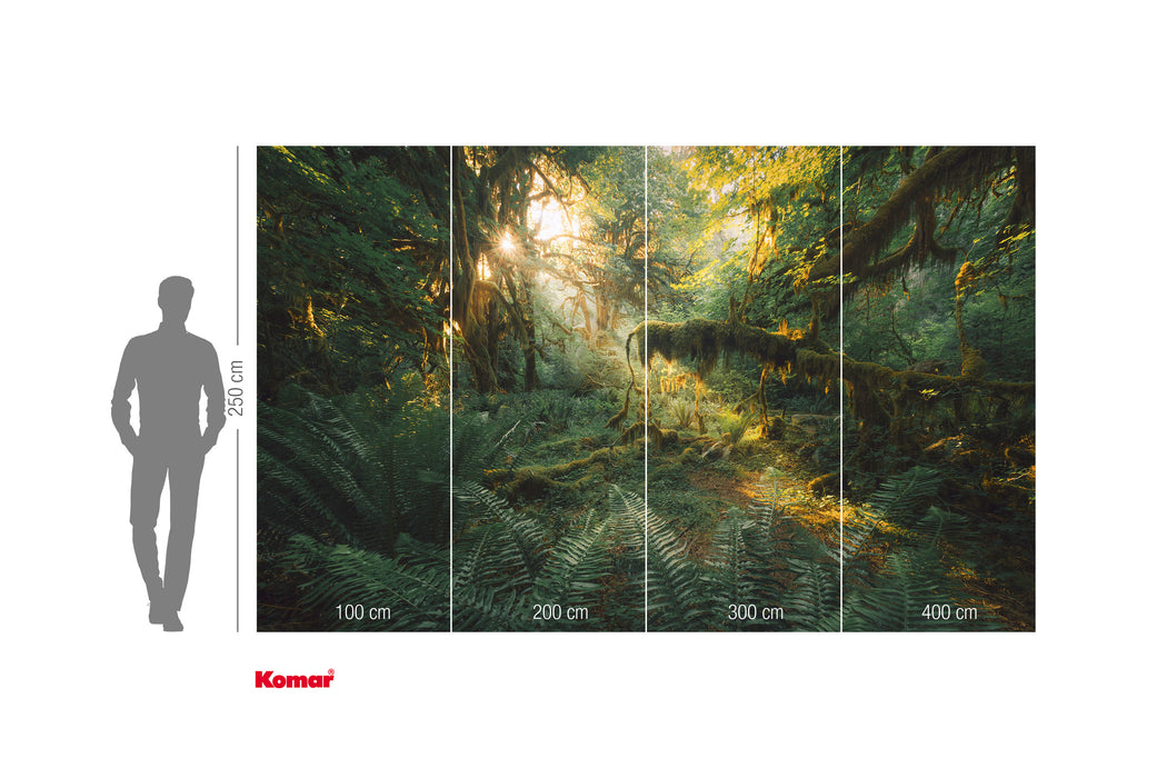 Komar NEU | Digitaldruck Vlies Fototapete - Hall of Mosses - Größe 400 x 250 cm