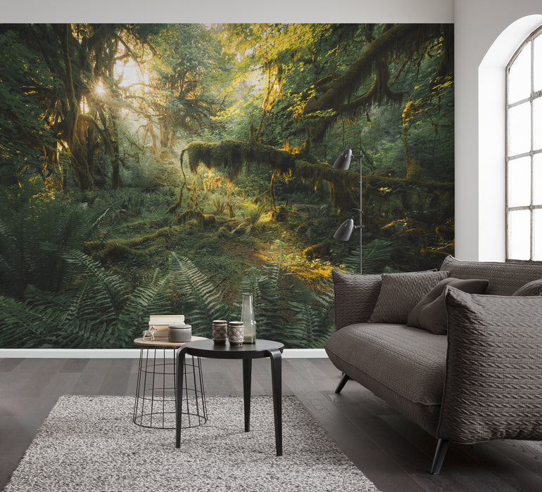 Komar NEU | Digitaldruck Vlies Fototapete - Hall of Mosses - Größe 400 x 250 cm