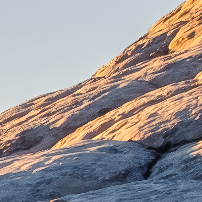 Komar NEU | Digitaldruck Vlies Fototapete - Elephant Skin - Größe 400 x 250 cm
