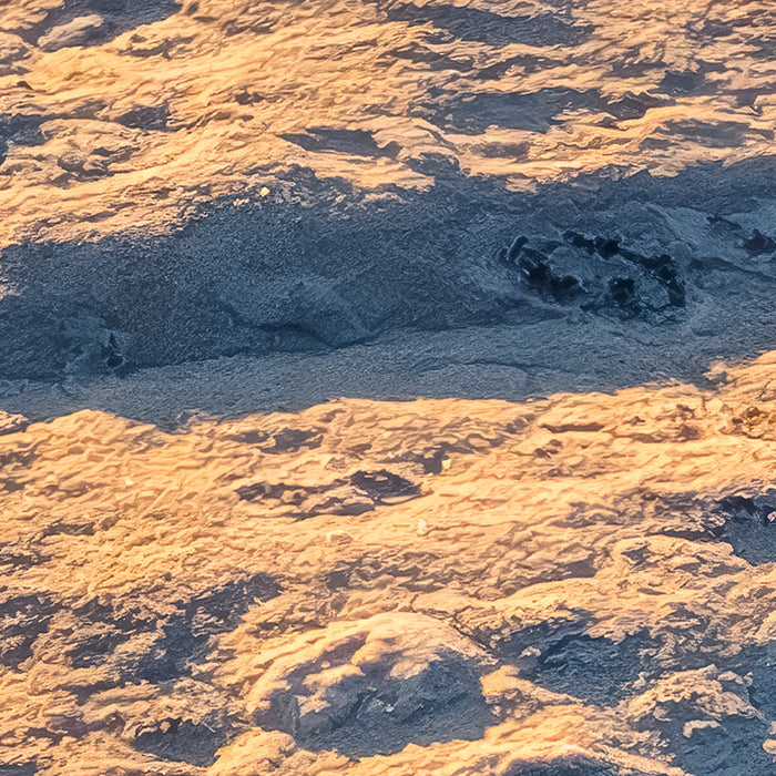 Komar NEU | Digitaldruck Vlies Fototapete - Elephant Skin - Größe 400 x 250 cm