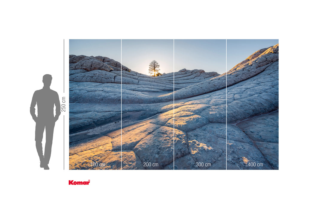 Komar NEU | Digitaldruck Vlies Fototapete - Elephant Skin - Größe 400 x 250 cm