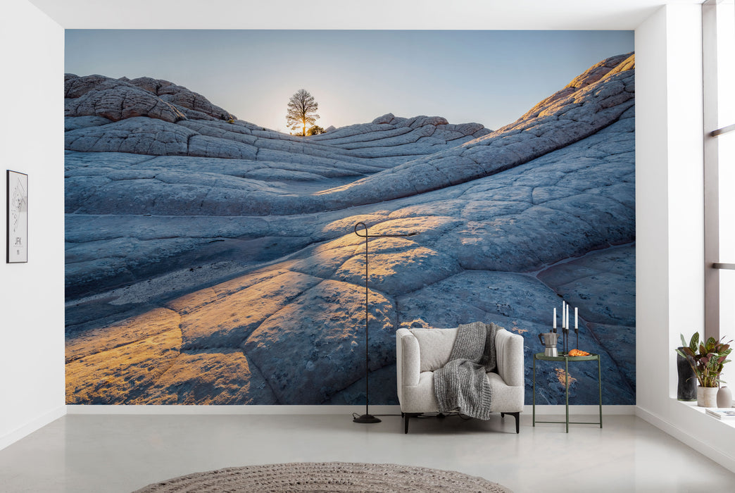 Digitaldruck Vlies Fototapete | Elephant Skin | 400 x 250 cm
