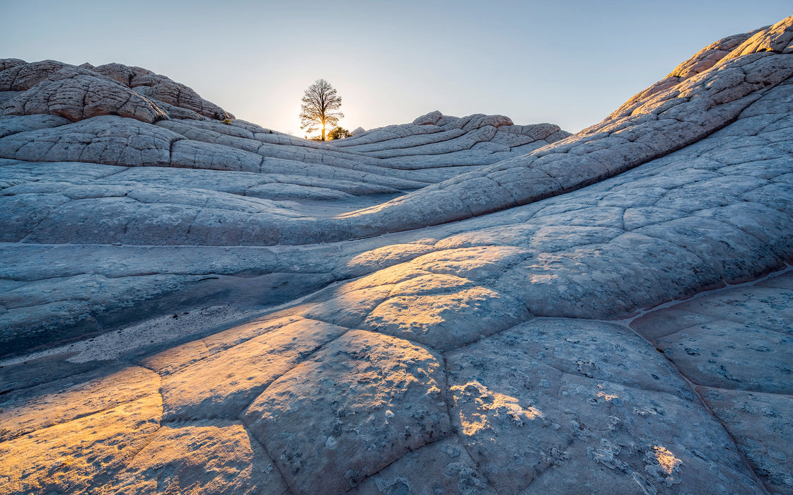 Digitaldruck Vlies Fototapete | Elephant Skin | 400 x 250 cm