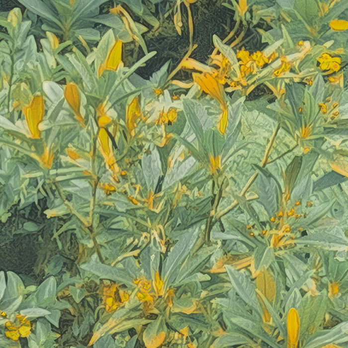 Komar NEU | Digitaldruck Vlies Fototapete - Jungle Lands - Größe 400 x 250 cm