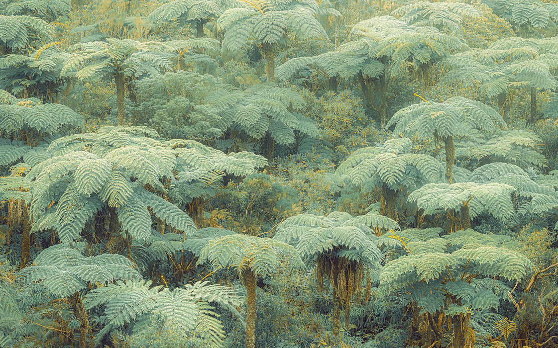 Komar NEU | Digitaldruck Vlies Fototapete - Jungle Lands - Größe 400 x 250 cm