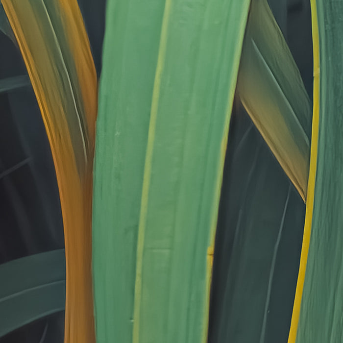 Komar NEU | Digitaldruck Vlies Fototapete - Foggy Fern - Größe 400 x 250 cm