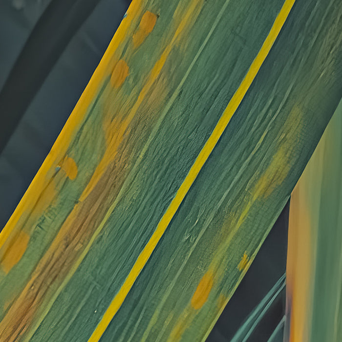 Komar NEU | Digitaldruck Vlies Fototapete - Foggy Fern - Größe 400 x 250 cm