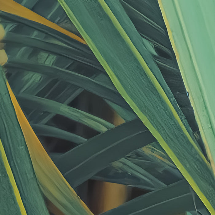 Komar NEU | Digitaldruck Vlies Fototapete - Foggy Fern - Größe 400 x 250 cm