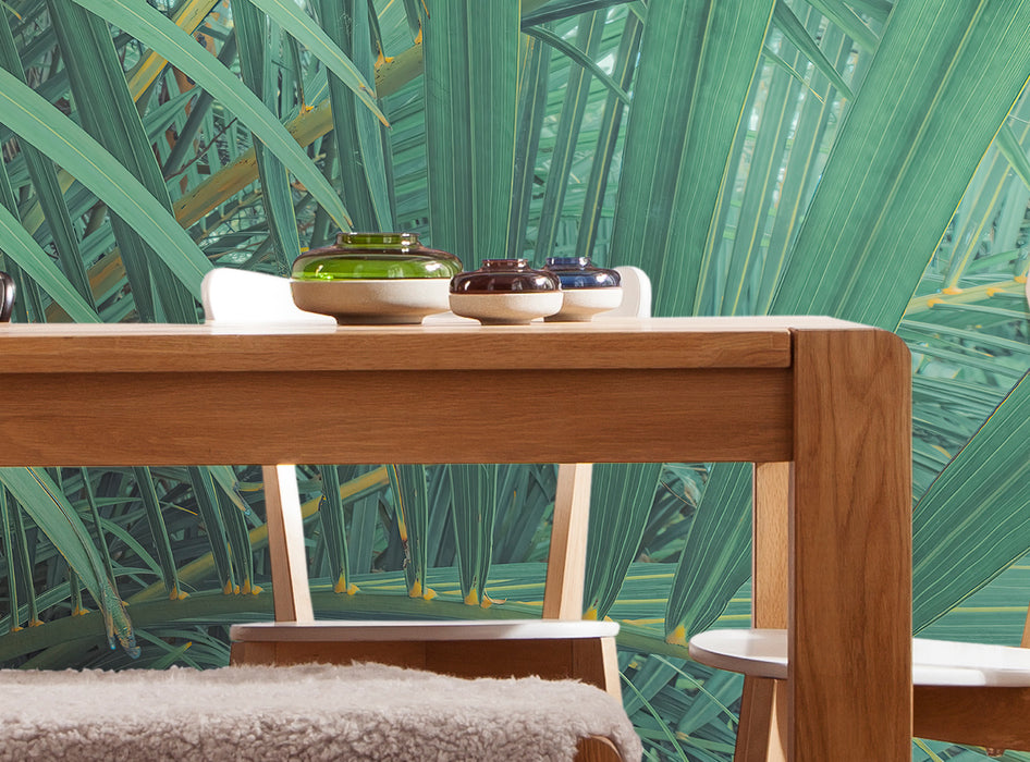 Komar NEU | Digitaldruck Vlies Fototapete - Foggy Fern - Größe 400 x 250 cm