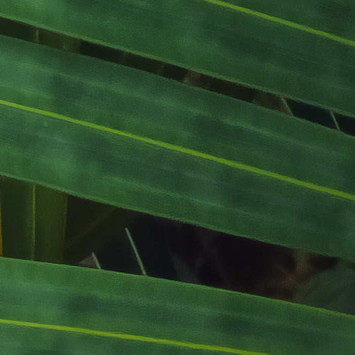 Komar NEU | Digitaldruck Vlies Fototapete - Amazon Fern - Größe 400 x 250 cm