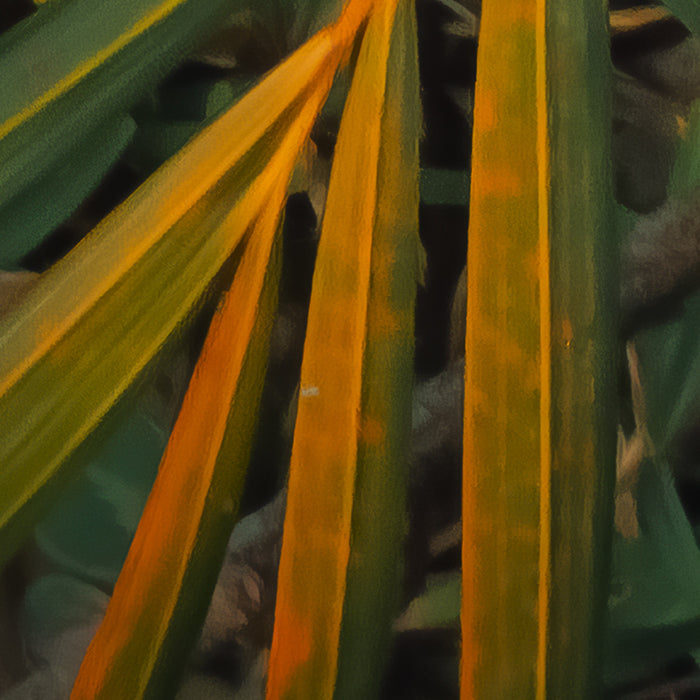 Digitaldruck Vlies Fototapete | Amazon Fern | 400 x 250 cm