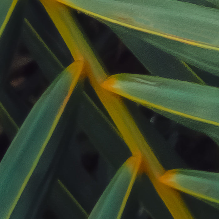 Komar NEU | Digitaldruck Vlies Fototapete - Amazon Fern - Größe 400 x 250 cm