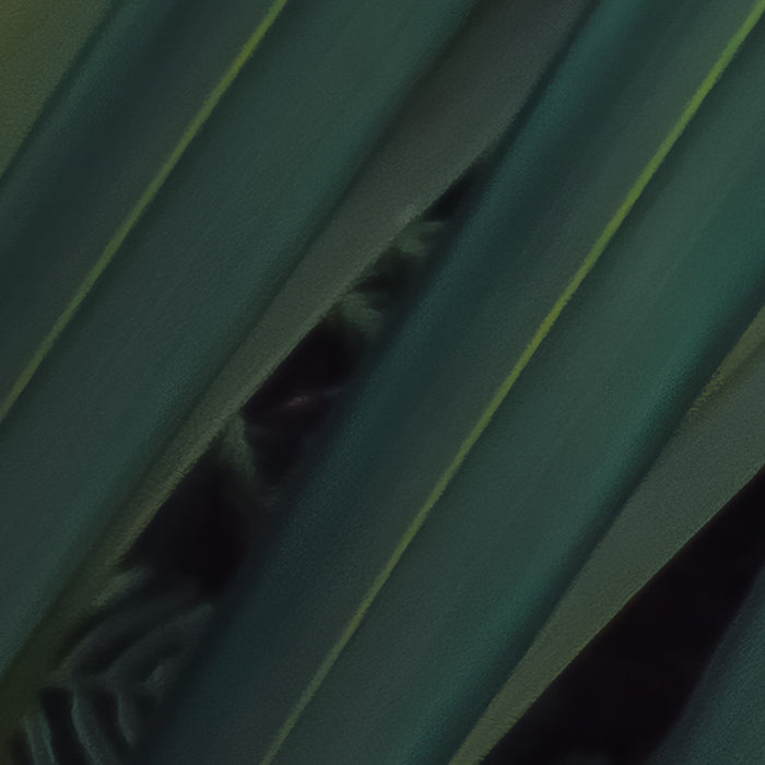 Digitaldruck Vlies Fototapete | Amazon Fern | 400 x 250 cm